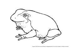 Frosch.pdf